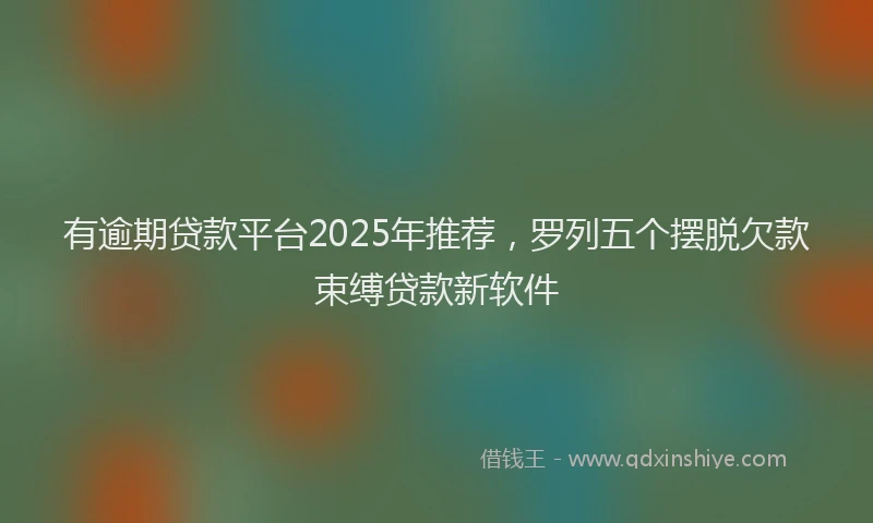 有逾期贷款平台2025年推荐，罗列五个摆脱欠款束缚贷款新软件