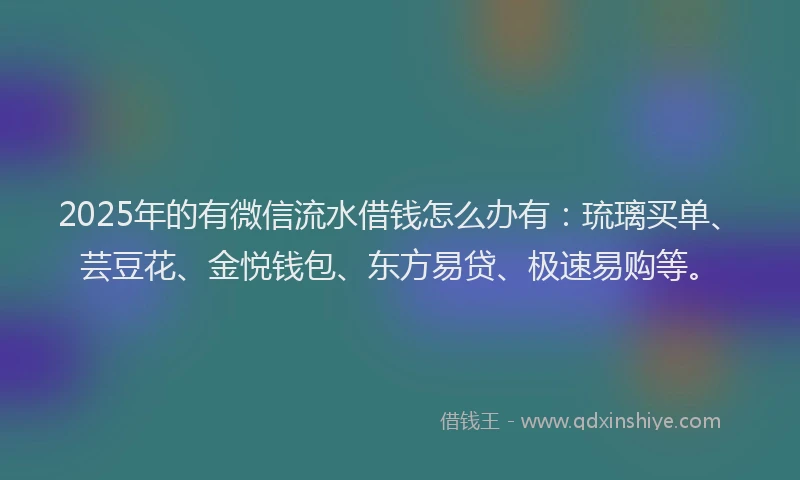 2025年的有微信流水借钱怎么办有：琉璃买单、芸豆花、金悦钱包、东方易贷、极速易购等。