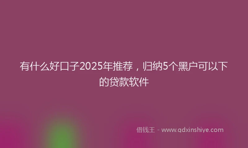 有什么好口子2025年推荐，归纳5个黑户可以下的贷款软件
