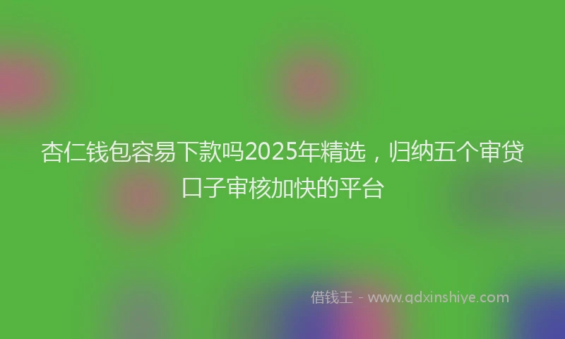 杏仁钱包容易下款吗2025年精选，归纳五个审贷口子审核加快的平台