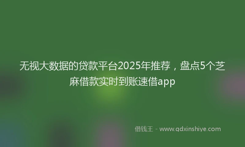 无视大数据的贷款平台2025年推荐，盘点5个芝麻借款实时到账速借app
