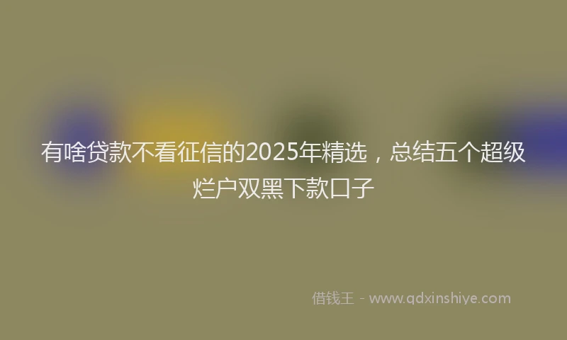 有啥贷款不看征信的2025年精选，总结五个超级烂户双黑下款口子