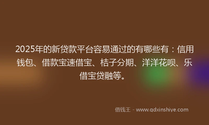 2025年的新贷款平台容易通过的有哪些有：信用钱包、借款宝速借宝、桔子分期、洋洋花呗、乐借宝贷融等。