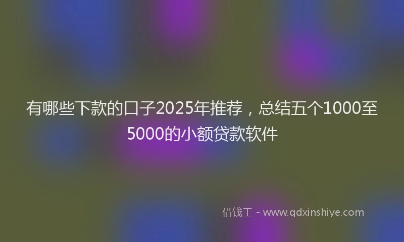 有哪些下款的口子2025年推荐，总结五个1000至5000的小额贷款软件