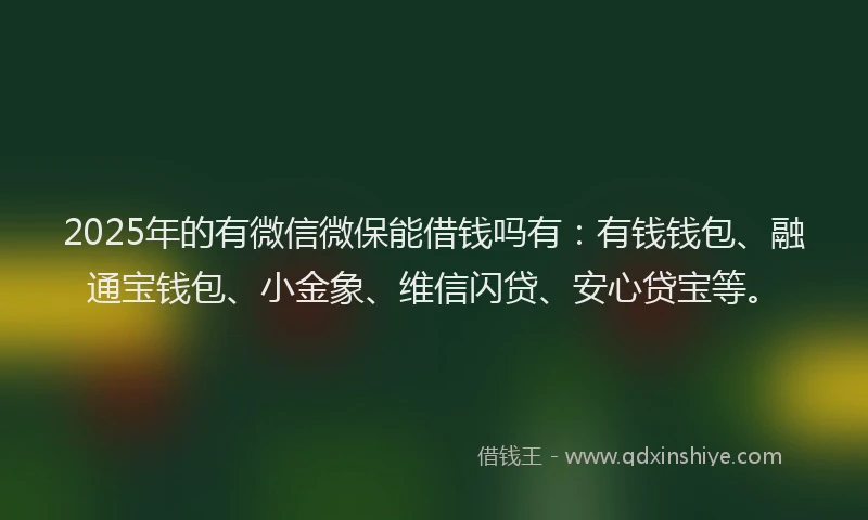 2025年的有微信微保能借钱吗有：有钱钱包、融通宝钱包、小金象、维信闪贷、安心贷宝等。
