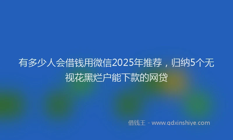 有多少人会借钱用微信2025年推荐，归纳5个无视花黑烂户能下款的网贷