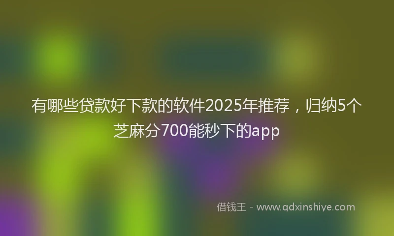 有哪些贷款好下款的软件2025年推荐，归纳5个芝麻分700能秒下的app