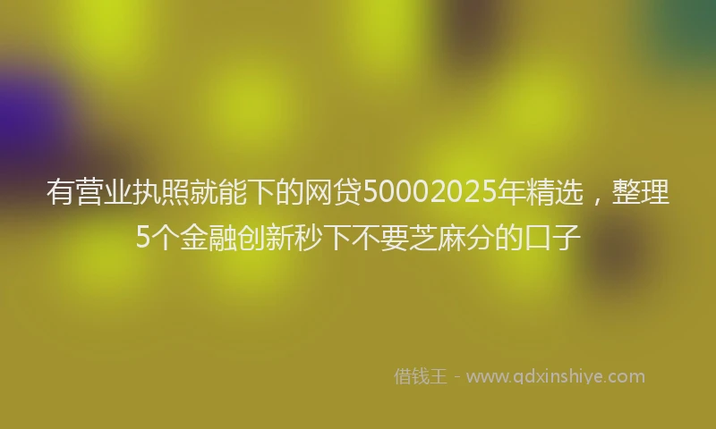 有营业执照就能下的网贷50002025年精选，整理5个金融创新秒下不要芝麻分的口子