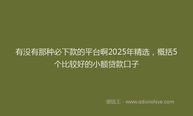 有没有那种必下款的平台啊2025年精选，概括5个比较好的小额贷款口子