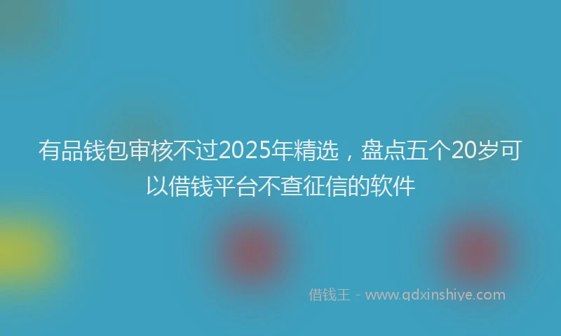 有品钱包审核不过2025年精选，盘点五个20岁可以借钱平台不查征信的软件