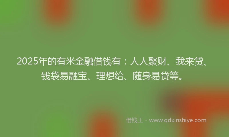 2025年的有米金融借钱有：人人聚财、我来贷、钱袋易融宝、理想给、随身易贷等。