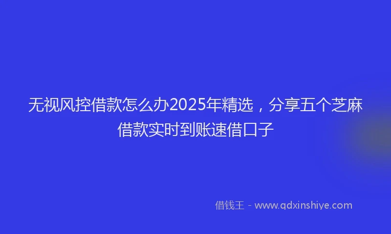 无视风控借款怎么办2025年精选，分享五个芝麻借款实时到账速借口子