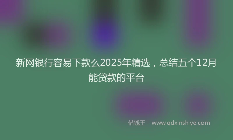 新网银行容易下款么2025年精选，总结五个12月能贷款的平台