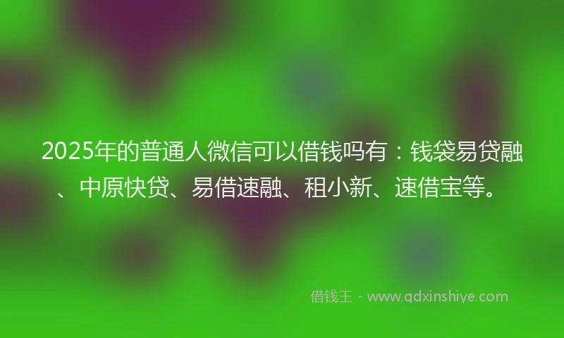 2025年的普通人微信可以借钱吗有：钱袋易贷融、中原快贷、易借速融、租小新、速借宝等。