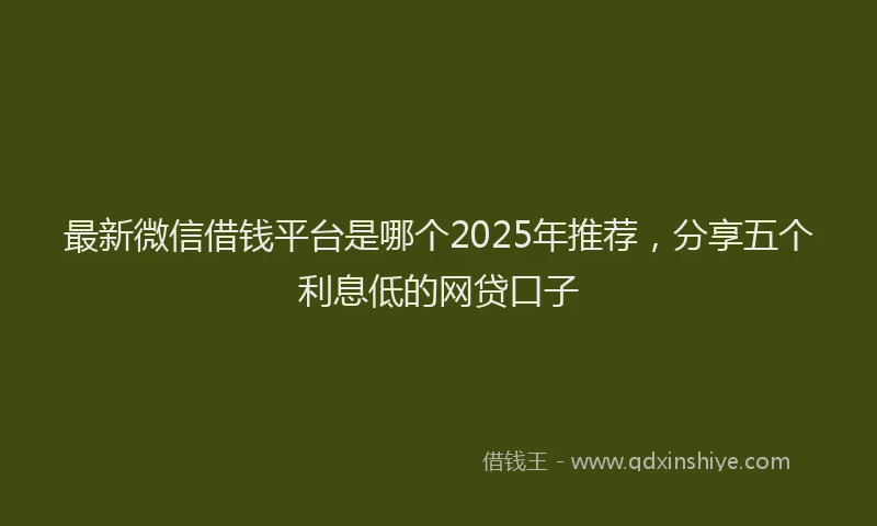 最新微信借钱平台是哪个2025年推荐，分享五个利息低的网贷口子