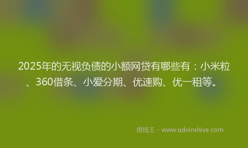 2025年的无视负债的小额网贷有哪些有：小米粒、360借条、小爱分期、优速购、优一租等。