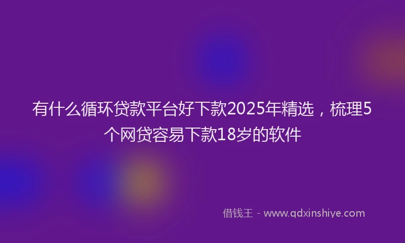 有什么循环贷款平台好下款2025年精选，梳理5个网贷容易下款18岁的软件