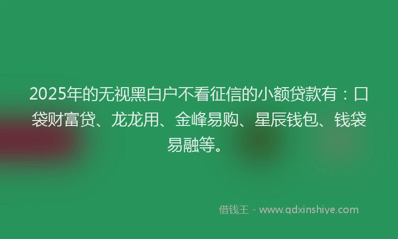 2025年的无视黑白户不看征信的小额贷款有：口袋财富贷、龙龙用、金峰易购、星辰钱包、钱袋易融等。