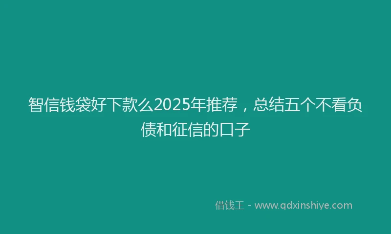 智信钱袋好下款么2025年推荐，总结五个不看负债和征信的口子