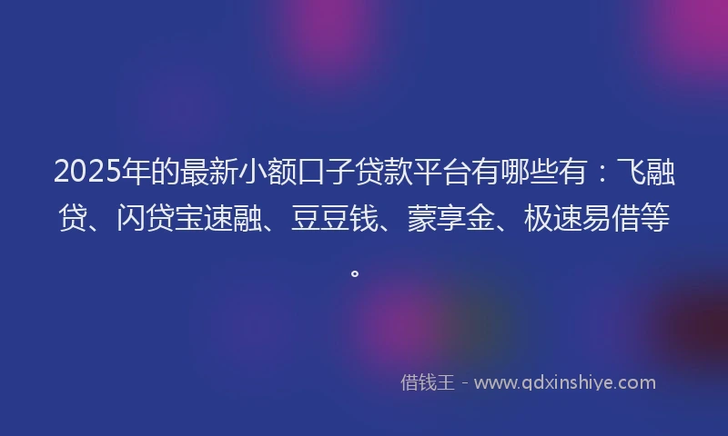 2025年的最新小额口子贷款平台有哪些有：飞融贷、闪贷宝速融、豆豆钱、蒙享金、极速易借等。