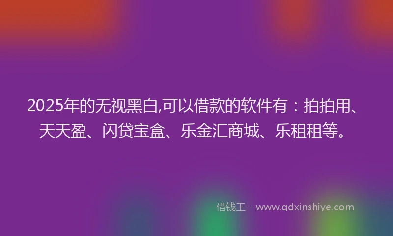2025年的无视黑白,可以借款的软件有：拍拍用、天天盈、闪贷宝盒、乐金汇商城、乐租租等。