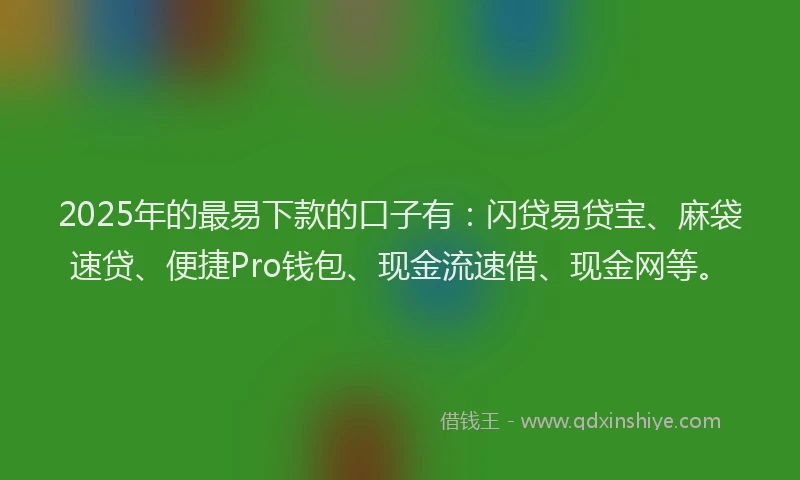 2025年的最易下款的口子有：闪贷易贷宝、麻袋速贷、便捷Pro钱包、现金流速借、现金网等。