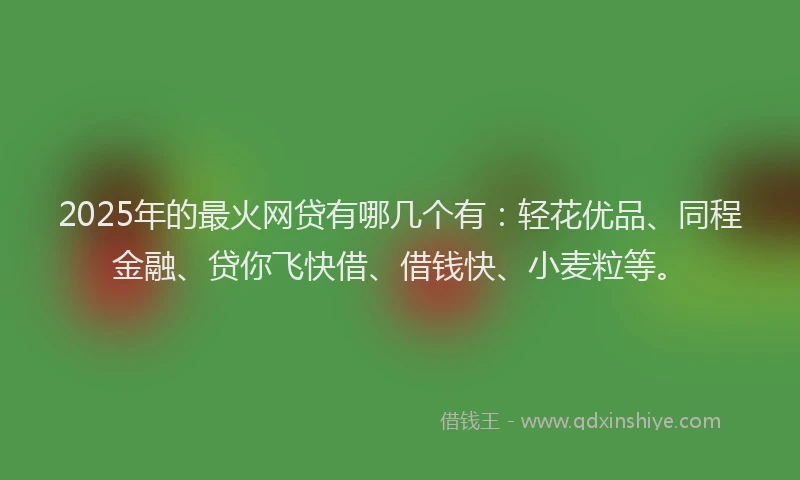 2025年的最火网贷有哪几个有：轻花优品、同程金融、贷你飞快借、借钱快、小麦粒等。