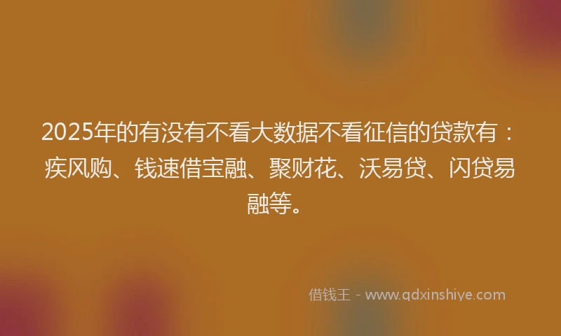 2025年的有没有不看大数据不看征信的贷款有：疾风购、钱速借宝融、聚财花、沃易贷、闪贷易融等。