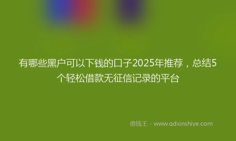 有哪些黑户可以下钱的口子2025年推荐，总结5个轻松借款无征信记录的平台