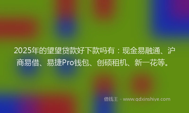 2025年的望望贷款好下款吗有：现金易融通、沪商易借、易捷Pro钱包、创硕租机、新一花等。