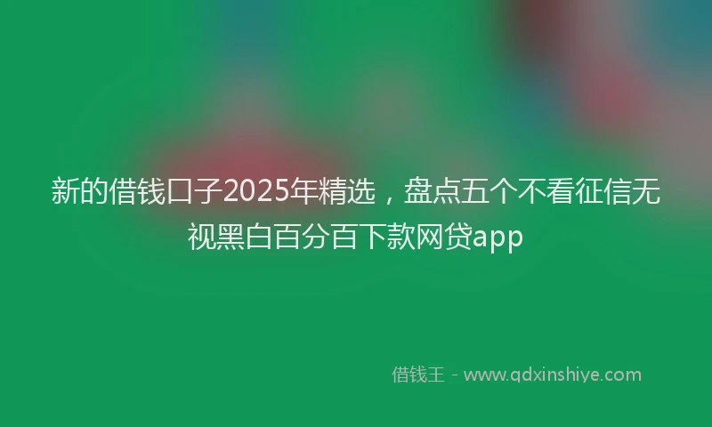 新的借钱口子2025年精选，盘点五个不看征信无视黑白百分百下款网贷app