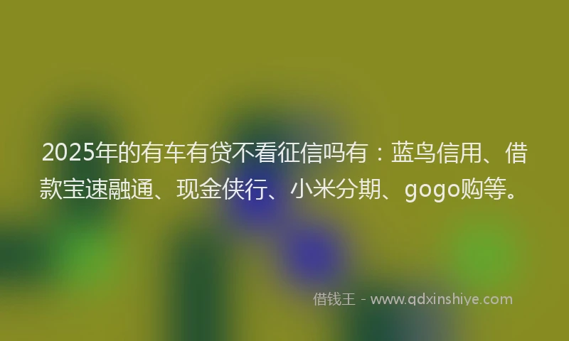 2025年的有车有贷不看征信吗有：蓝鸟信用、借款宝速融通、现金侠行、小米分期、gogo购等。