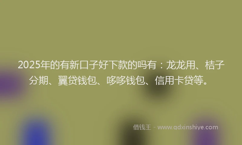 2025年的有新口子好下款的吗有：龙龙用、桔子分期、翼贷钱包、哆哆钱包、信用卡贷等。