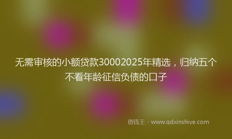 无需审核的小额贷款30002025年精选，归纳五个不看年龄征信负债的口子