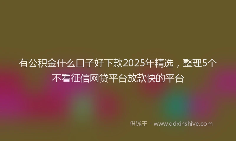 有公积金什么口子好下款2025年精选，整理5个不看征信网贷平台放款快的平台