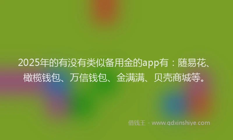 2025年的有没有类似备用金的app有：随易花、橄榄钱包、万信钱包、金满满、贝壳商城等。