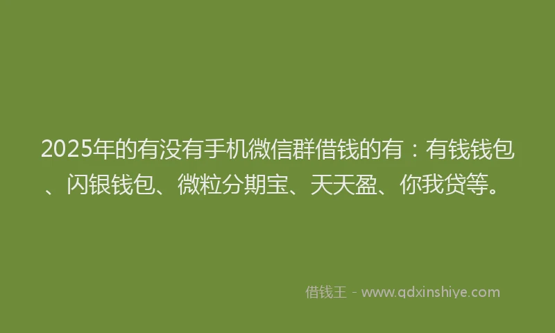 2025年的有没有手机微信群借钱的有：有钱钱包、闪银钱包、微粒分期宝、天天盈、你我贷等。