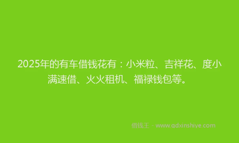 2025年的有车借钱花有：小米粒、吉祥花、度小满速借、火火租机、福禄钱包等。