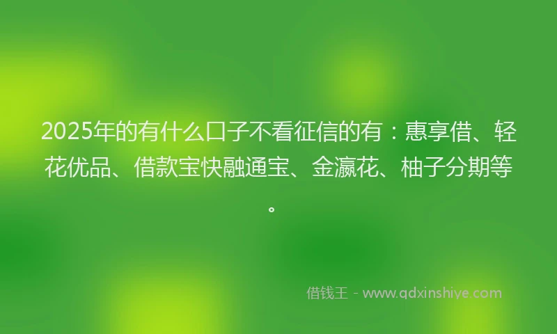 2025年的有什么口子不看征信的有：惠享借、轻花优品、借款宝快融通宝、金瀛花、柚子分期等。