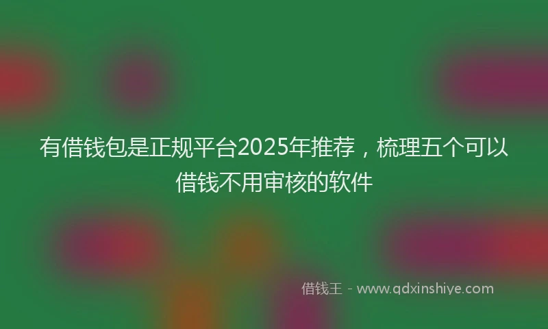有借钱包是正规平台2025年推荐，梳理五个可以借钱不用审核的软件