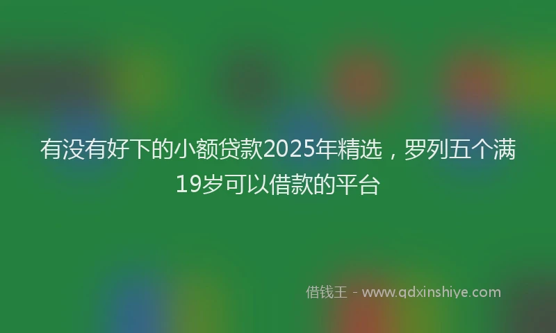 有没有好下的小额贷款2025年精选，罗列五个满19岁可以借款的平台