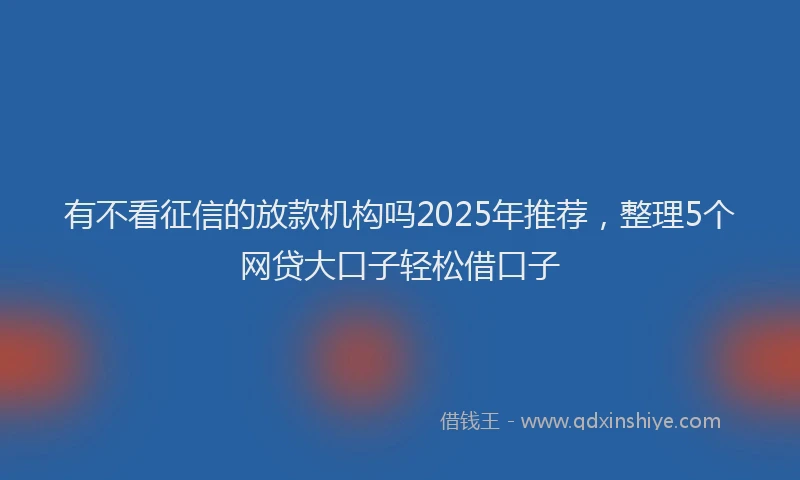 有不看征信的放款机构吗2025年推荐，整理5个网贷大口子轻松借口子