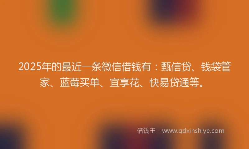 2025年的最近一条微信借钱有：甄信贷、钱袋管家、蓝莓买单、宜享花、快易贷通等。