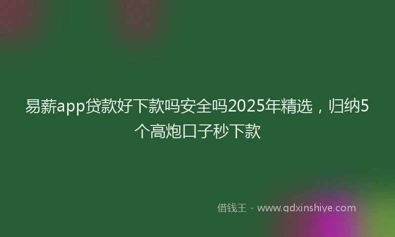 易薪app贷款好下款吗安全吗2025年精选，归纳5个高炮口子秒下款