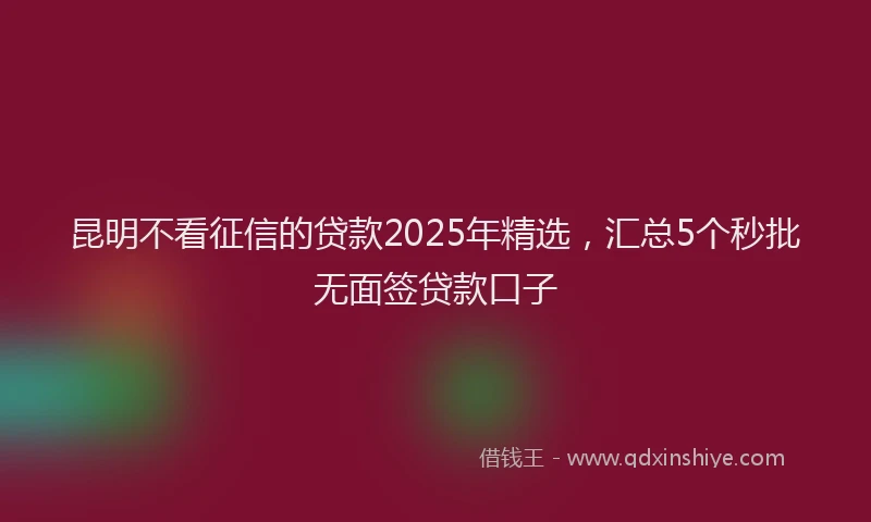 昆明不看征信的贷款2025年精选，汇总5个秒批无面签贷款口子