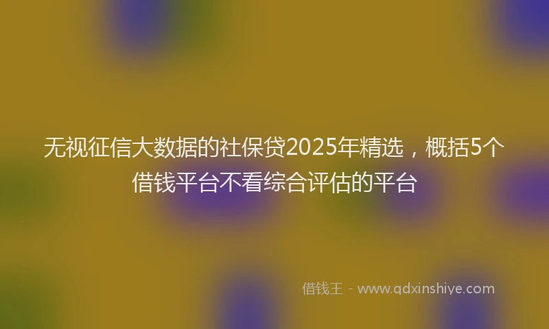 无视征信大数据的社保贷2025年精选，概括5个借钱平台不看综合评估的平台