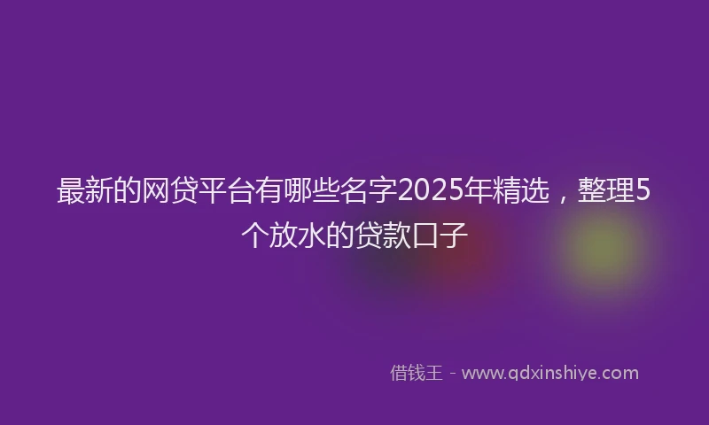 最新的网贷平台有哪些名字2025年精选，整理5个放水的贷款口子