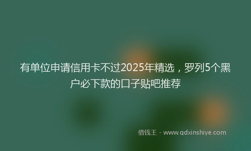 有单位申请信用卡不过2025年精选，罗列5个黑户必下款的口子贴吧推荐