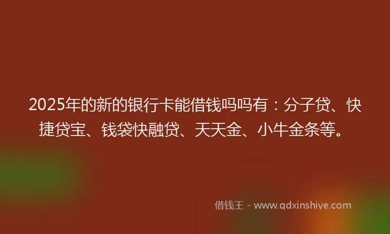 2025年的新的银行卡能借钱吗吗有：分子贷、快捷贷宝、钱袋快融贷、天天金、小牛金条等。