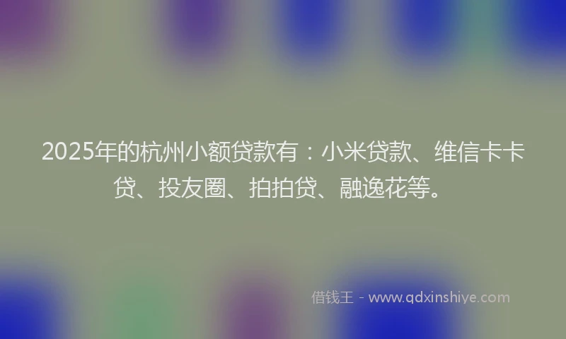 2025年的杭州小额贷款有：小米贷款、维信卡卡贷、投友圈、拍拍贷、融逸花等。